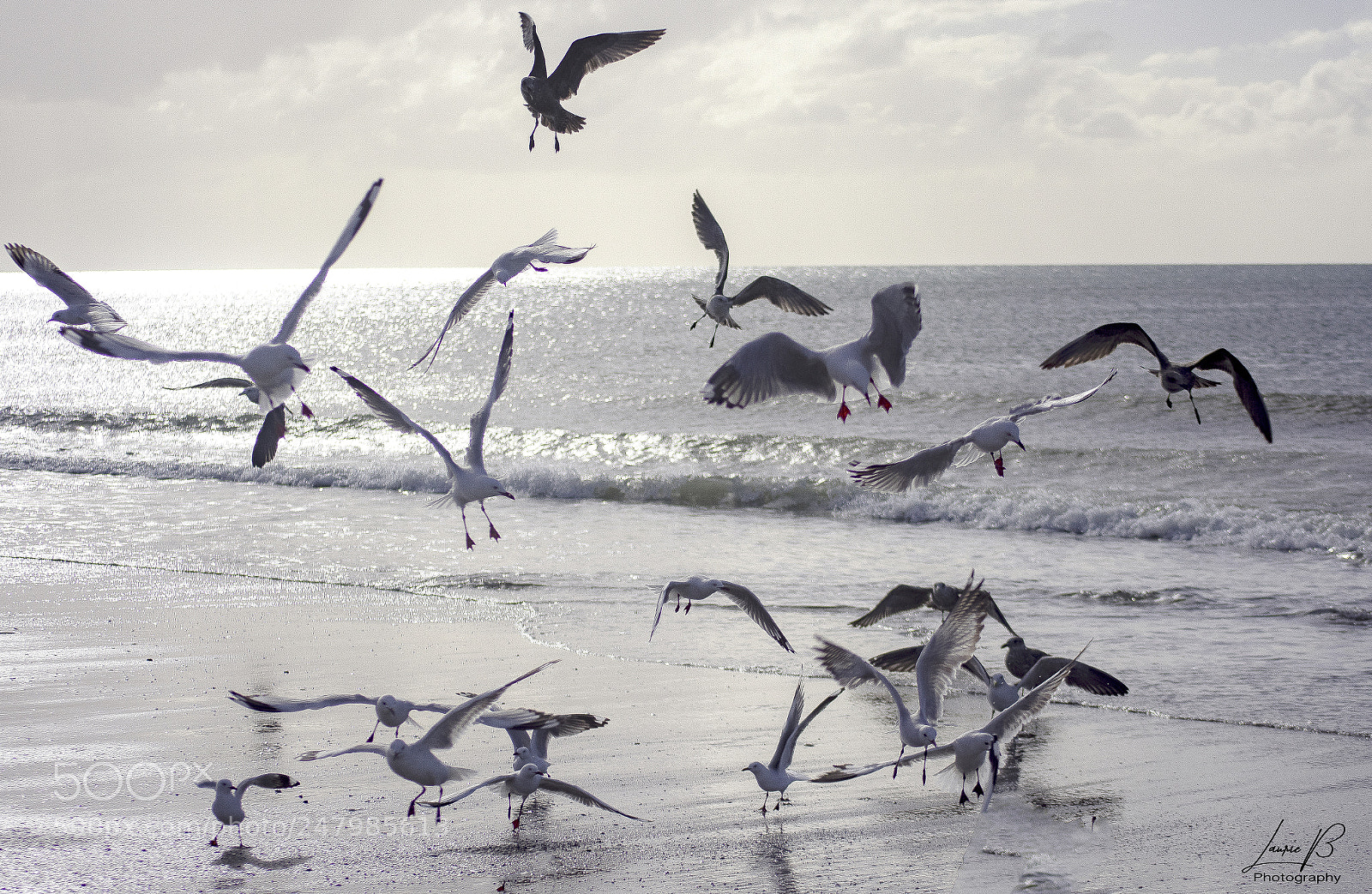 Nikon D7200 sample photo. Untitled photography