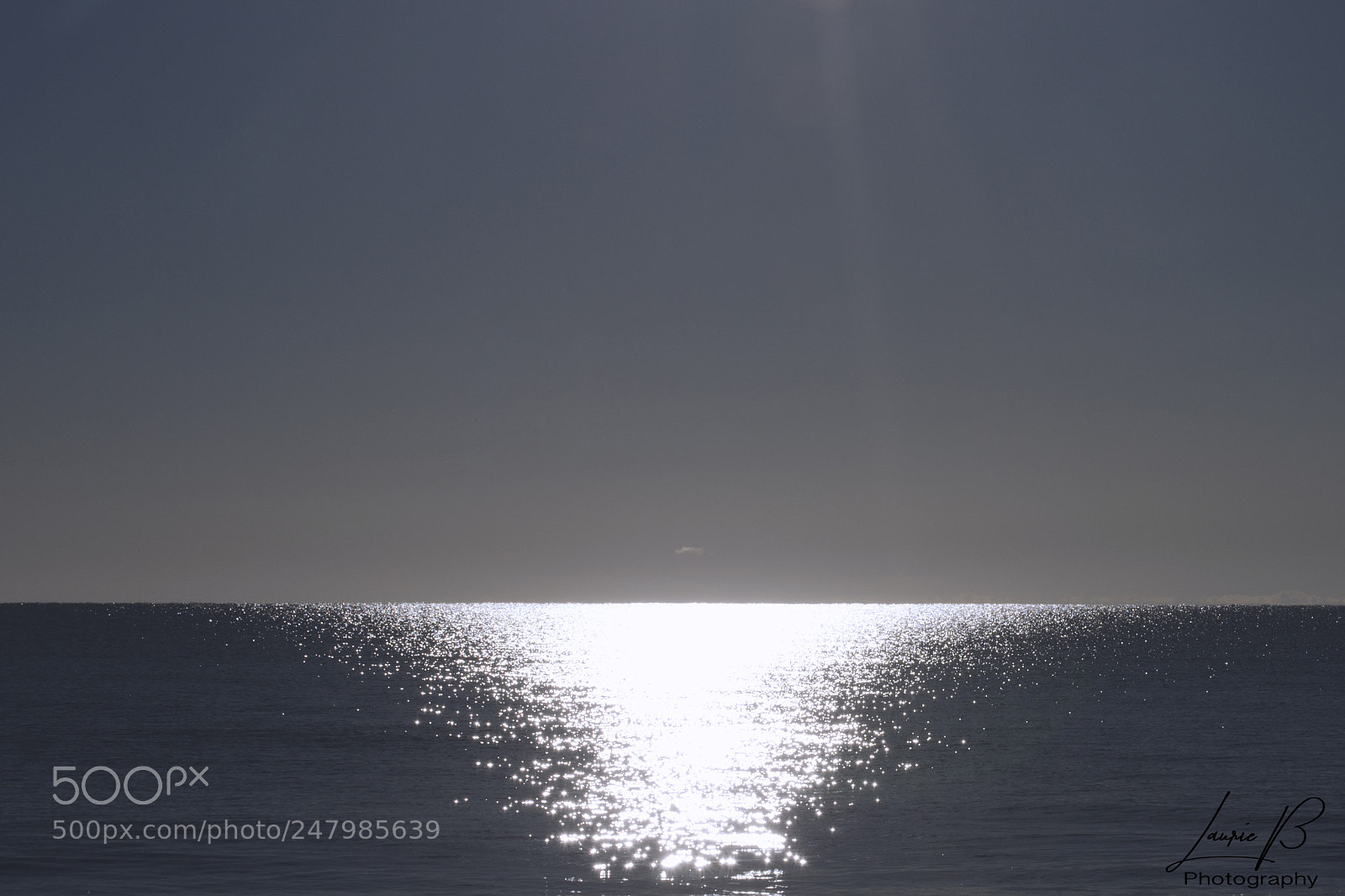 Nikon D5100 sample photo. Untitled photography