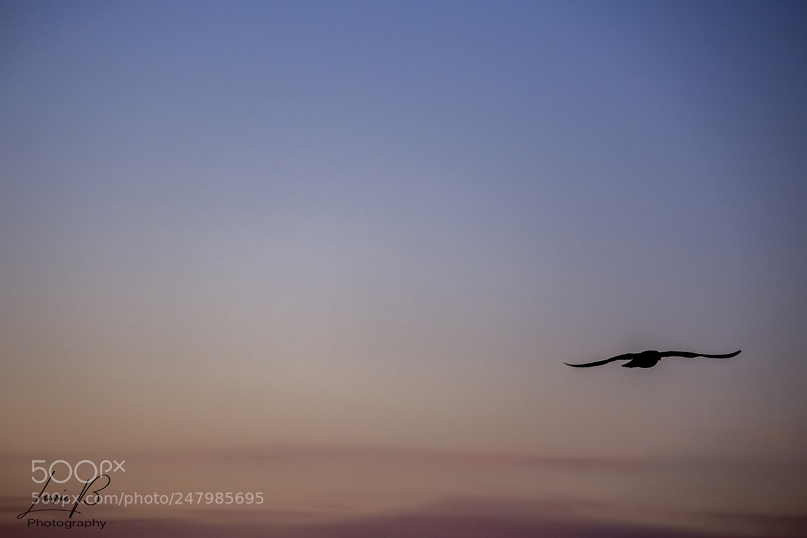 Nikon D7200 sample photo. Untitled photography