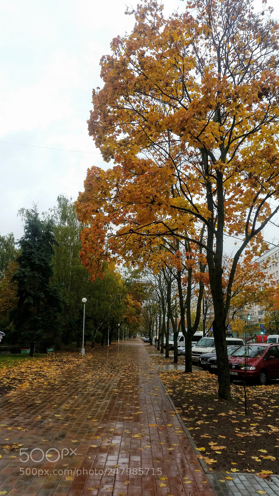 Samsung Galaxy S5 sample photo. Мокрый осенний Минск photography