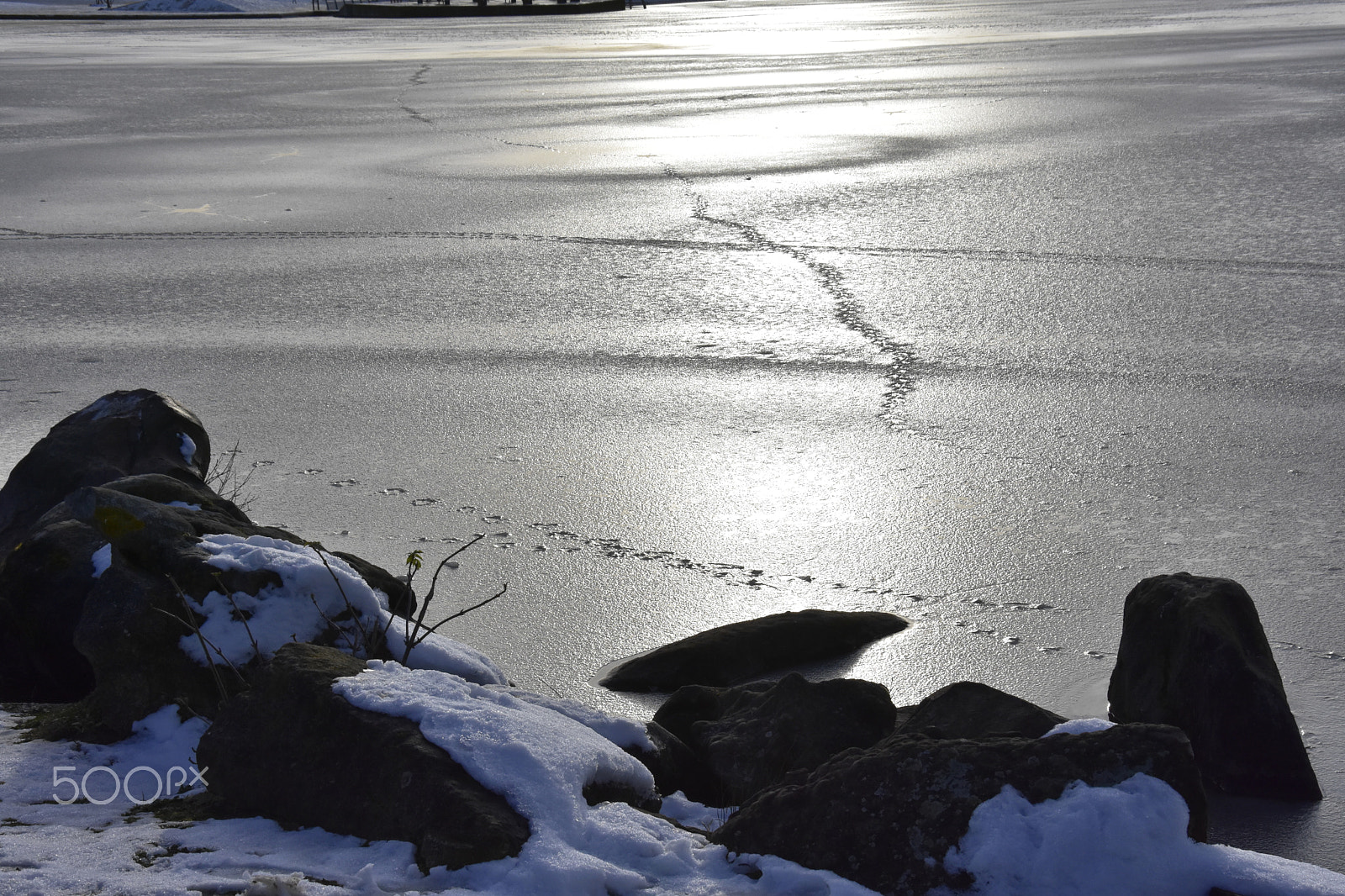 Nikon D7200 sample photo. Glace photography