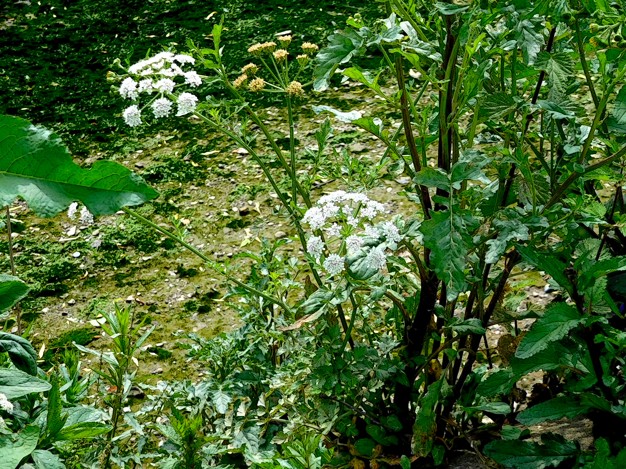 Nikon Coolpix S7000 sample photo. Fscn photography