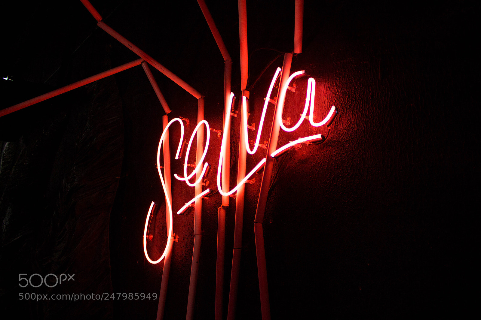 Canon EOS 700D (EOS Rebel T5i / EOS Kiss X7i) sample photo. Selva photography