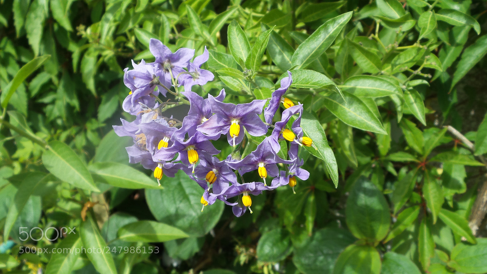 Samsung Galaxy Camera 2 sample photo. 20160707_134632.jpg photography