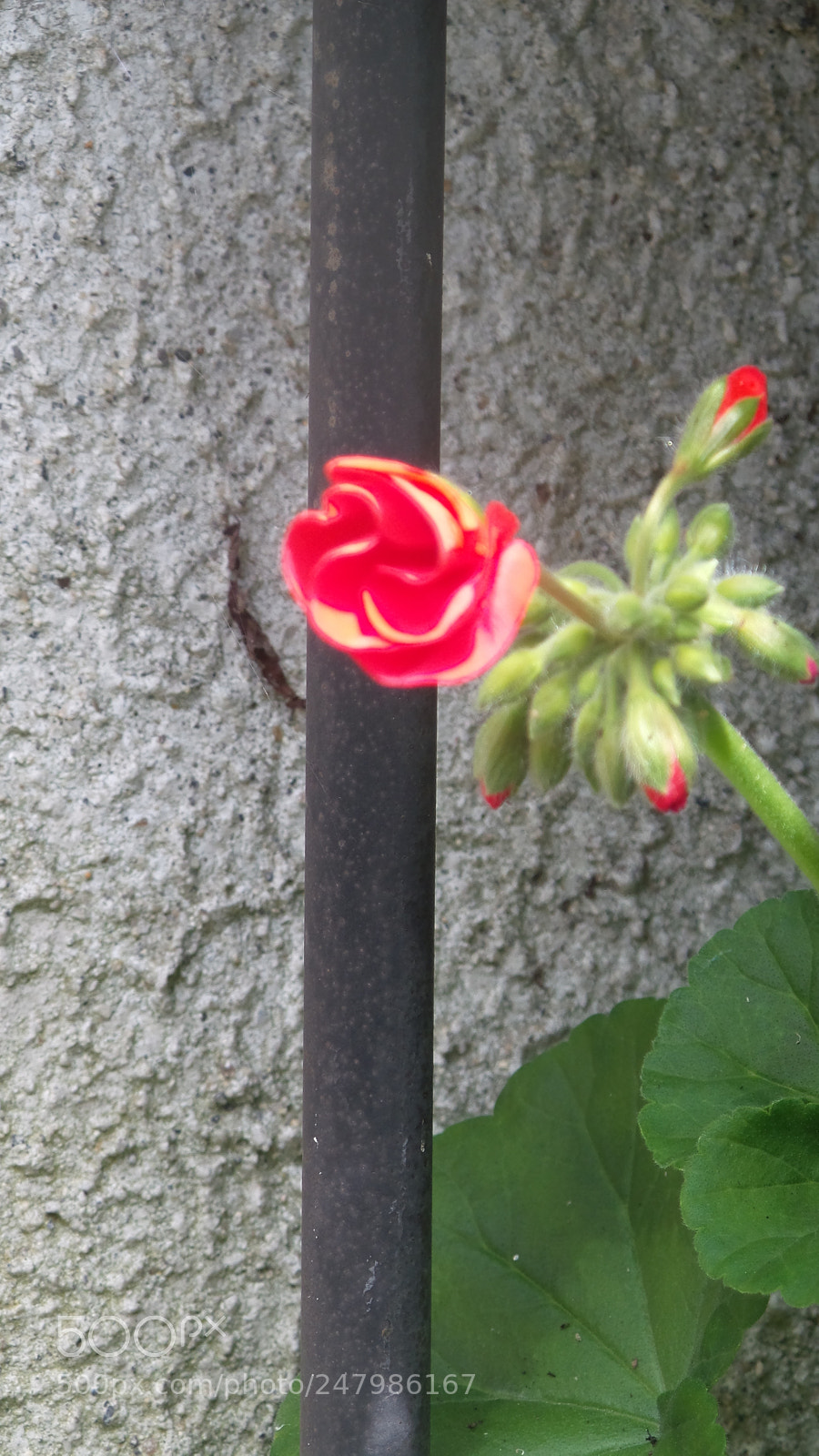 Samsung Galaxy Camera 2 sample photo. 20160707_134440.jpg photography