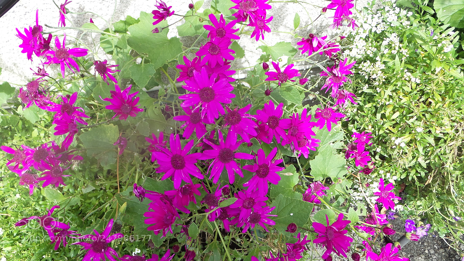 Samsung Galaxy Camera 2 sample photo. 20160707_134531.jpg photography