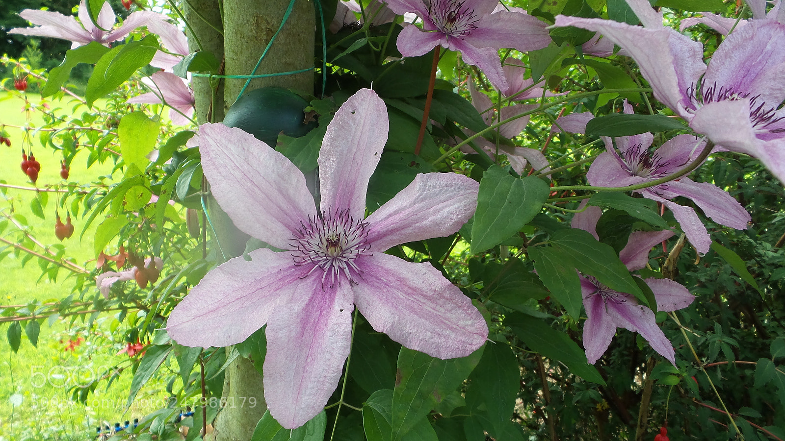 Samsung Galaxy Camera 2 sample photo. 20160707_134603.jpg photography