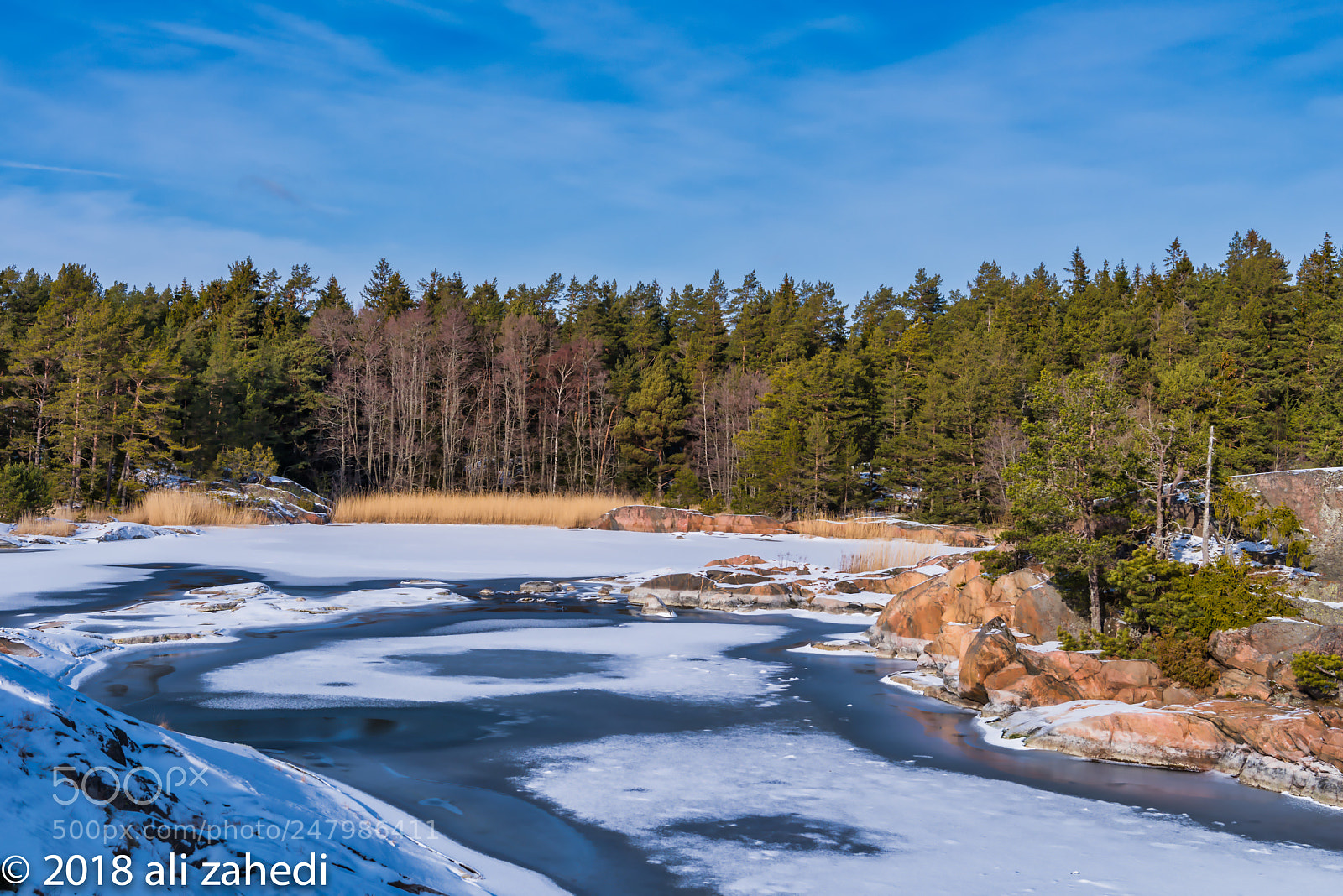 Nikon D810 sample photo. W:s:d photography