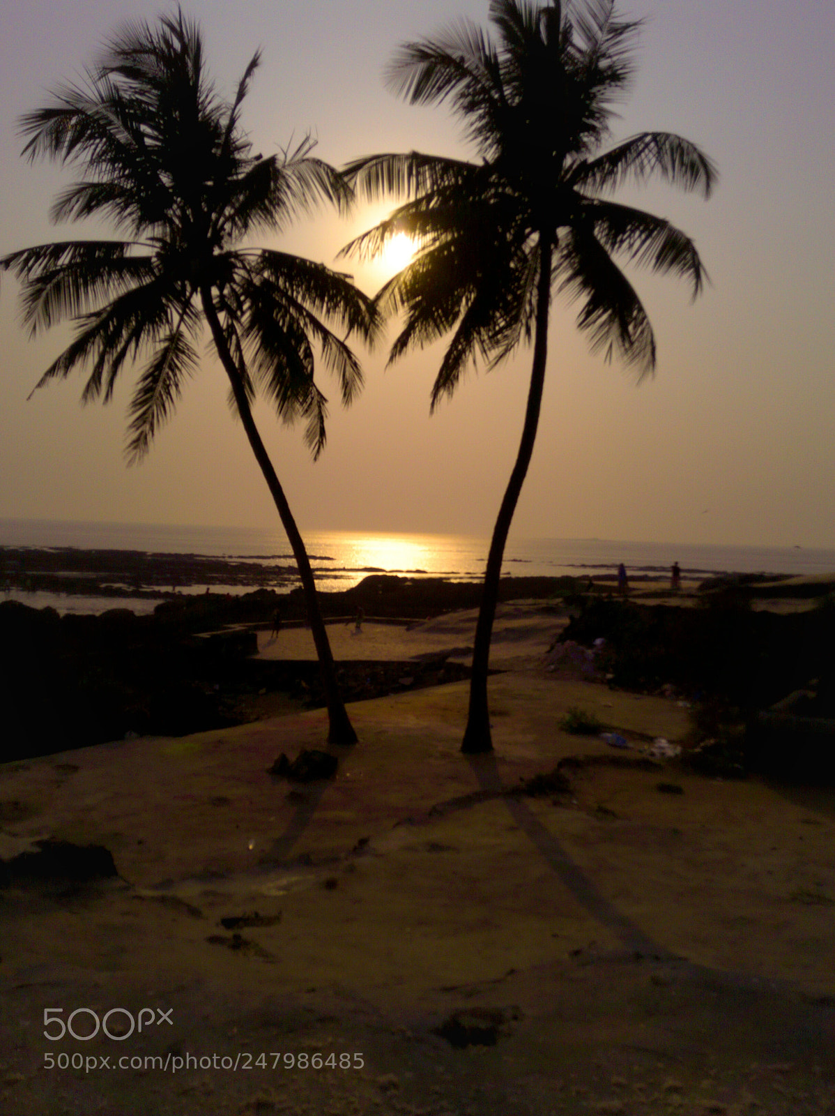 OPPO A37fw-International sample photo. The beautiful sunset at photography