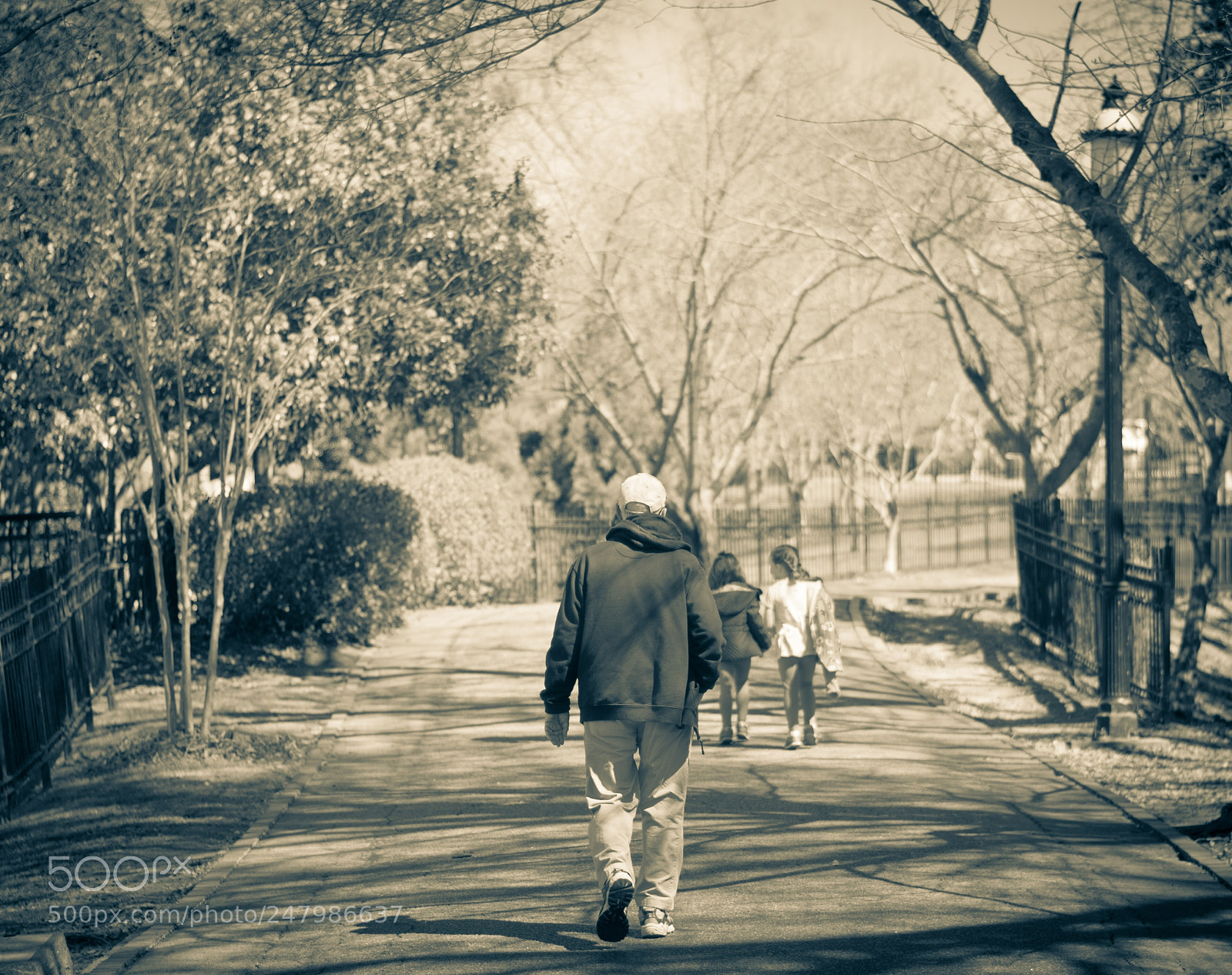 Nikon D3400 sample photo. A walk in the photography