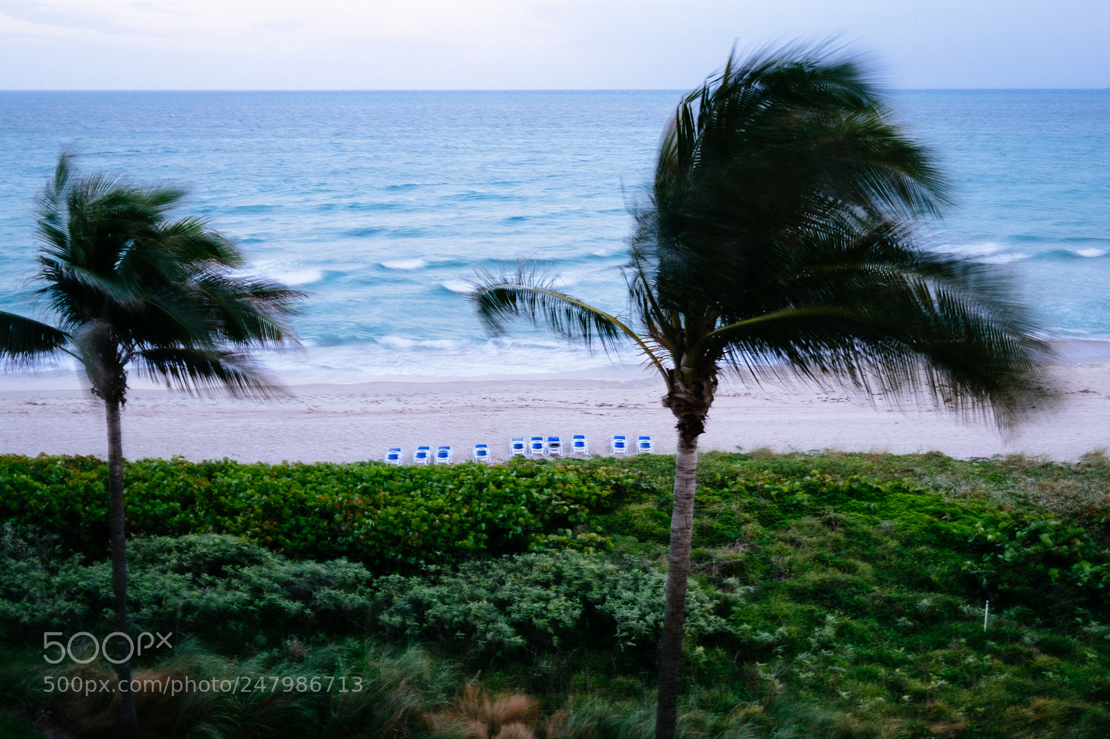 Fujifilm X-T2 sample photo. Florida photography