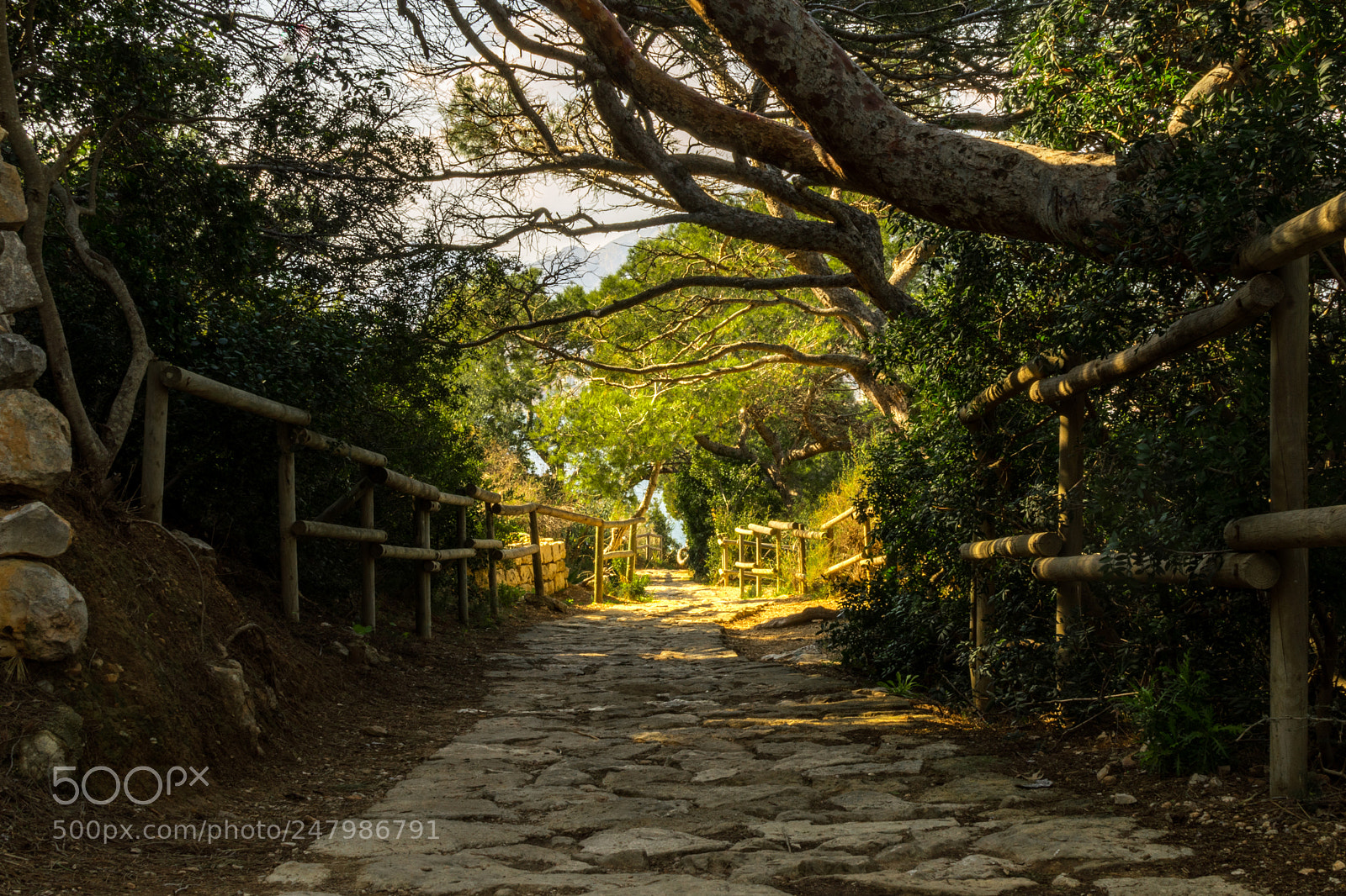 Nikon D5500 sample photo. Journey photography