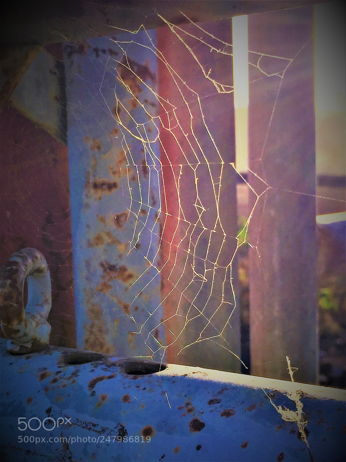 Apple iPhone 6 sample photo. Web photography