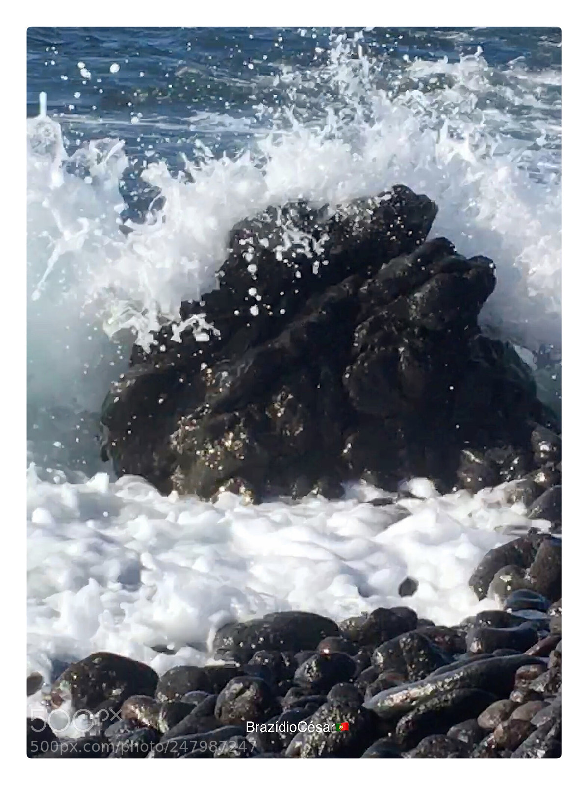 Apple iPhone 6s sample photo. Untitled photography