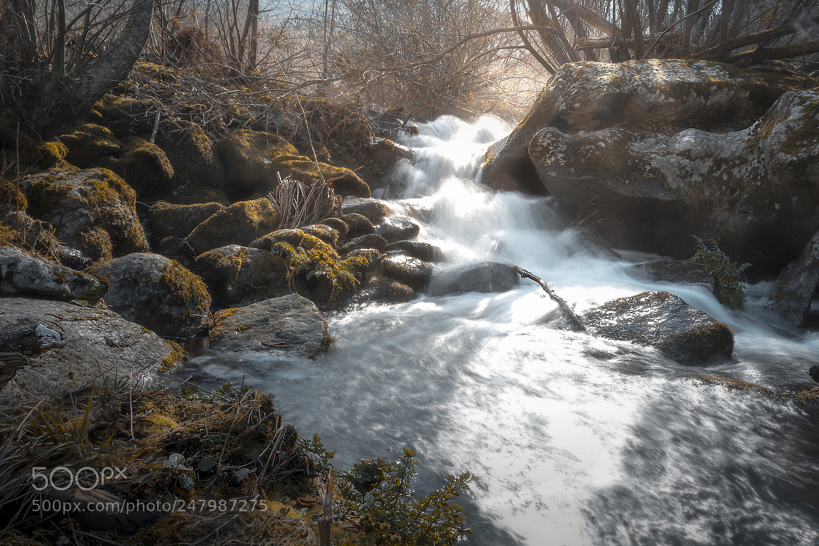Canon EOS 1200D (EOS Rebel T5 / EOS Kiss X70 / EOS Hi) sample photo. Ribeira sacra photography