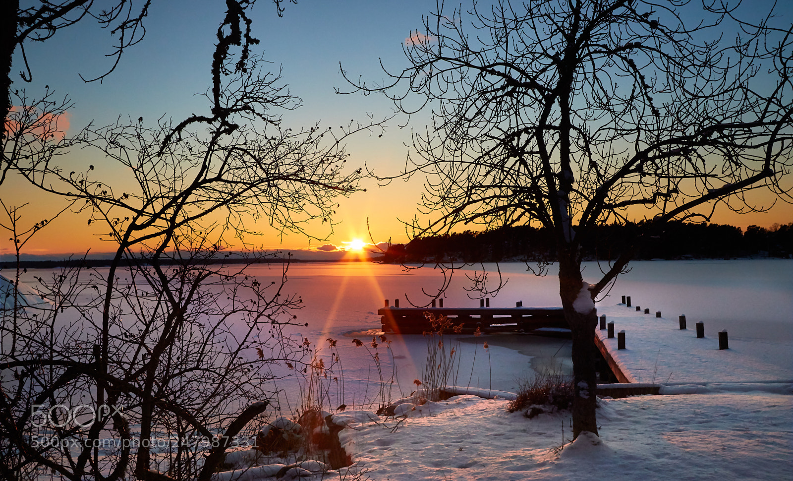 Canon EOS 7D Mark II sample photo. Wonderful winter photography