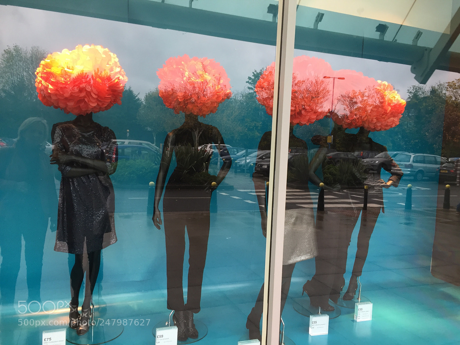 Apple iPhone 6 sample photo. Img photography