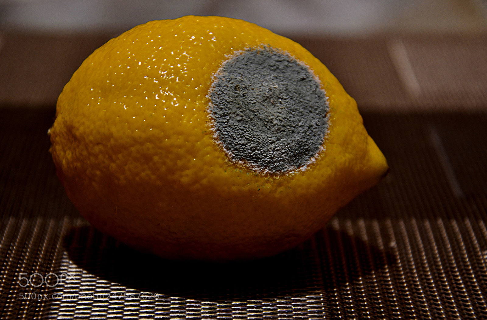 Nikon D3100 sample photo. New form of life photography