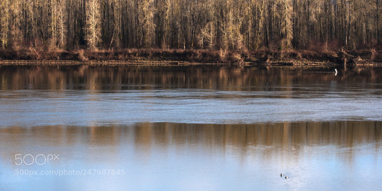 Nikon D7200 sample photo. Calm waters photography