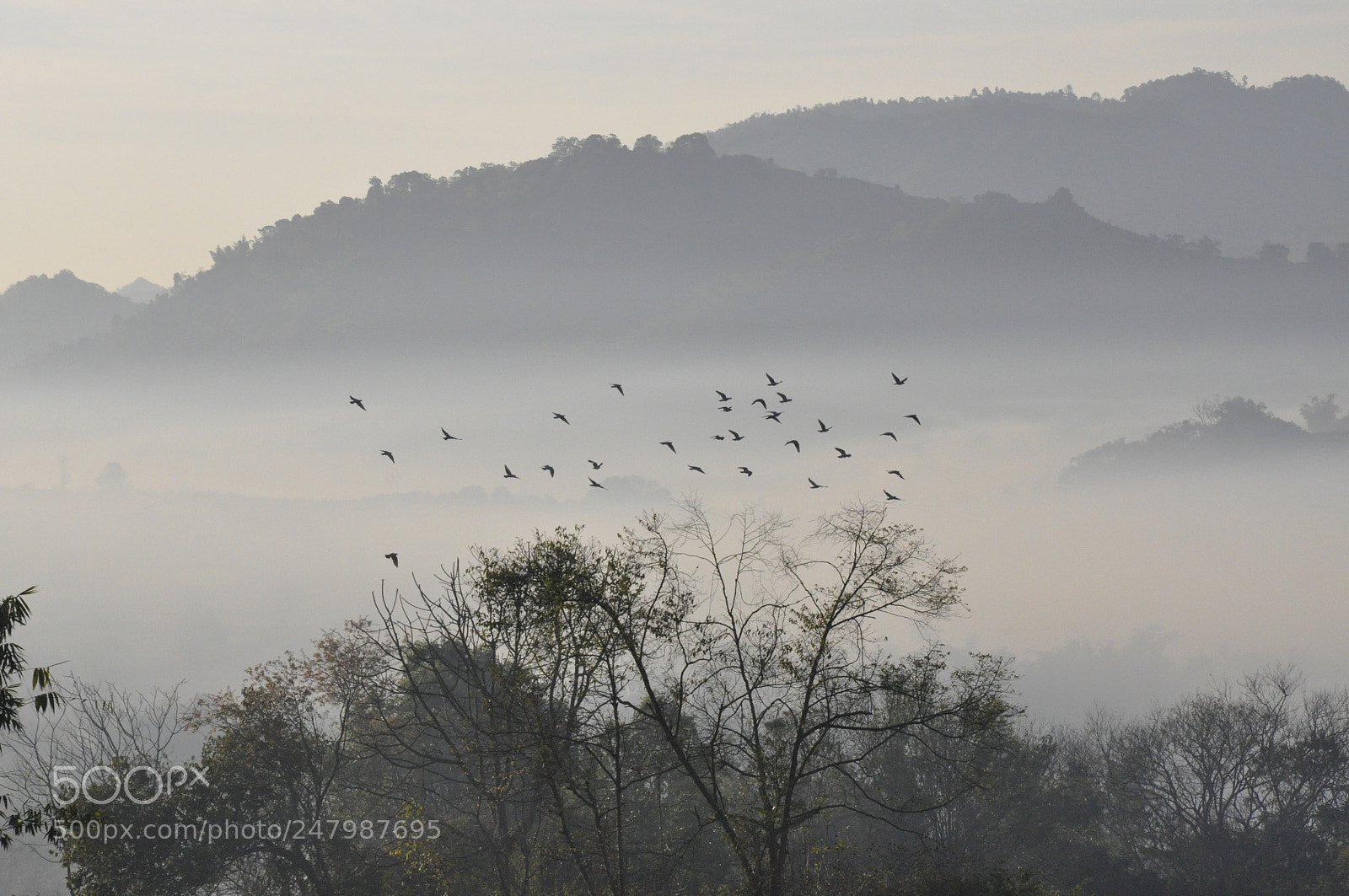 Nikon D90 sample photo. Shan state,myanmar photography