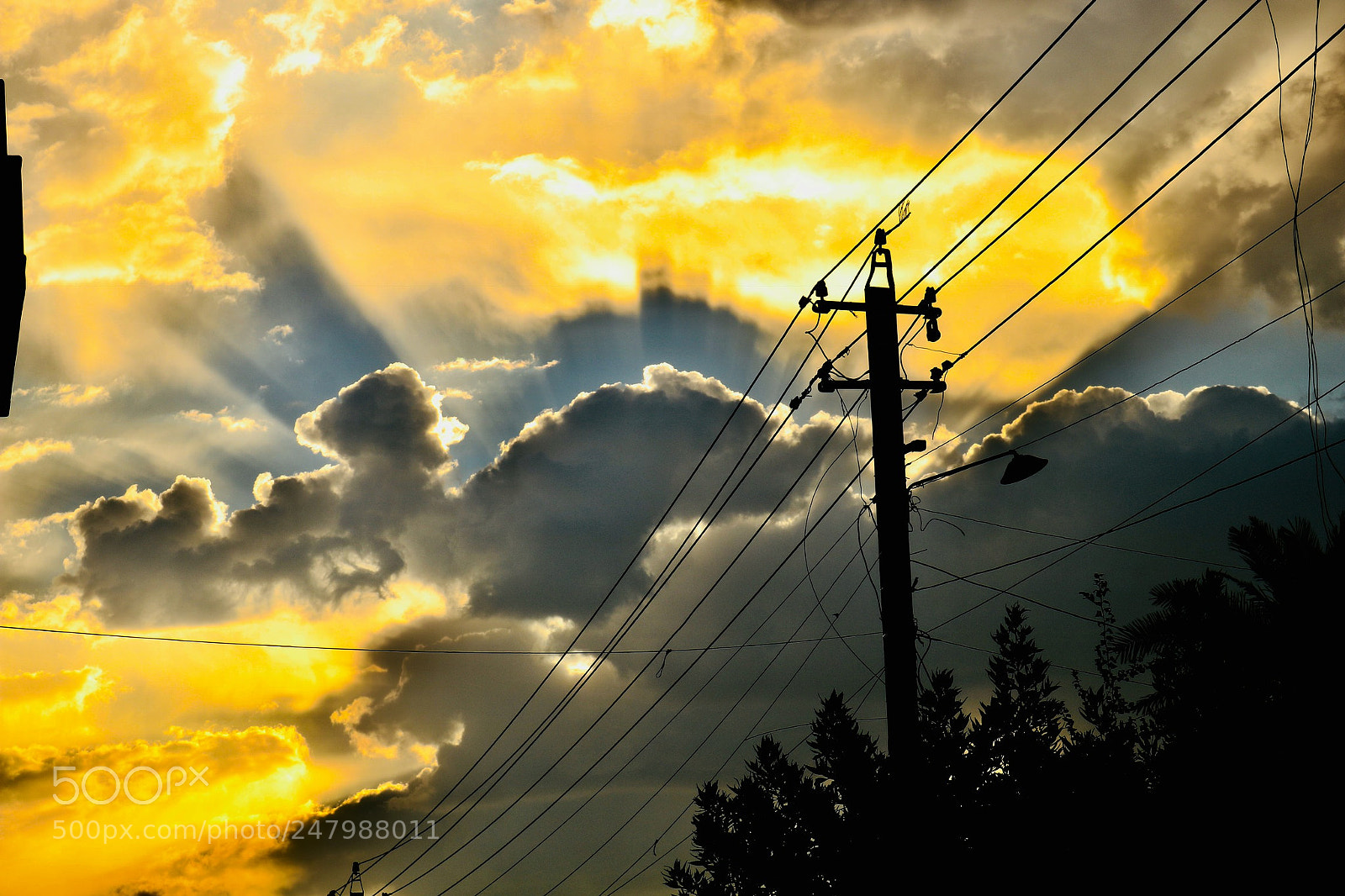 Canon EOS 750D (EOS Rebel T6i / EOS Kiss X8i) sample photo. Abfc cfaafdddee photography