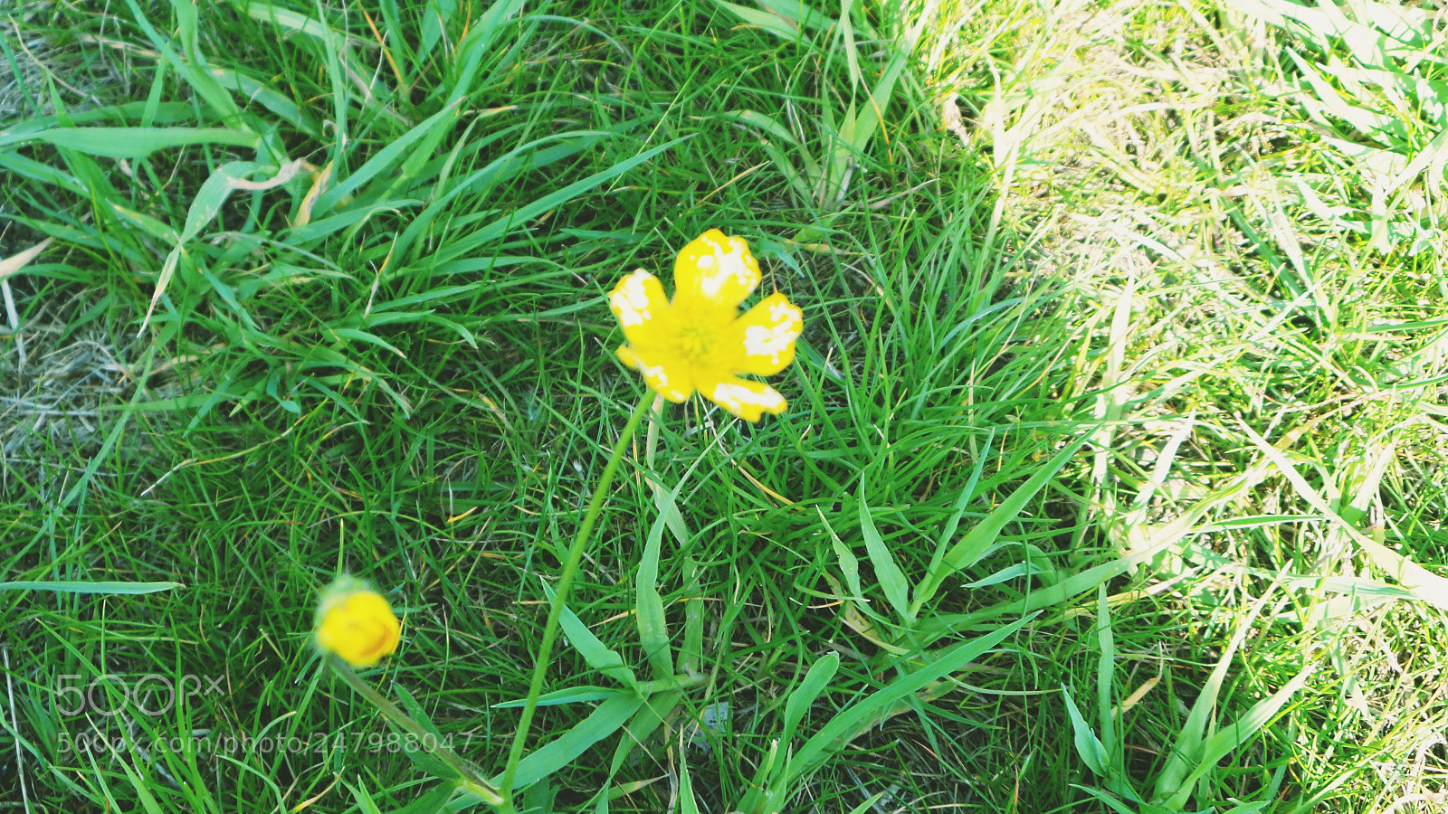 Samsung Galaxy Camera 2 sample photo. Eeao photography
