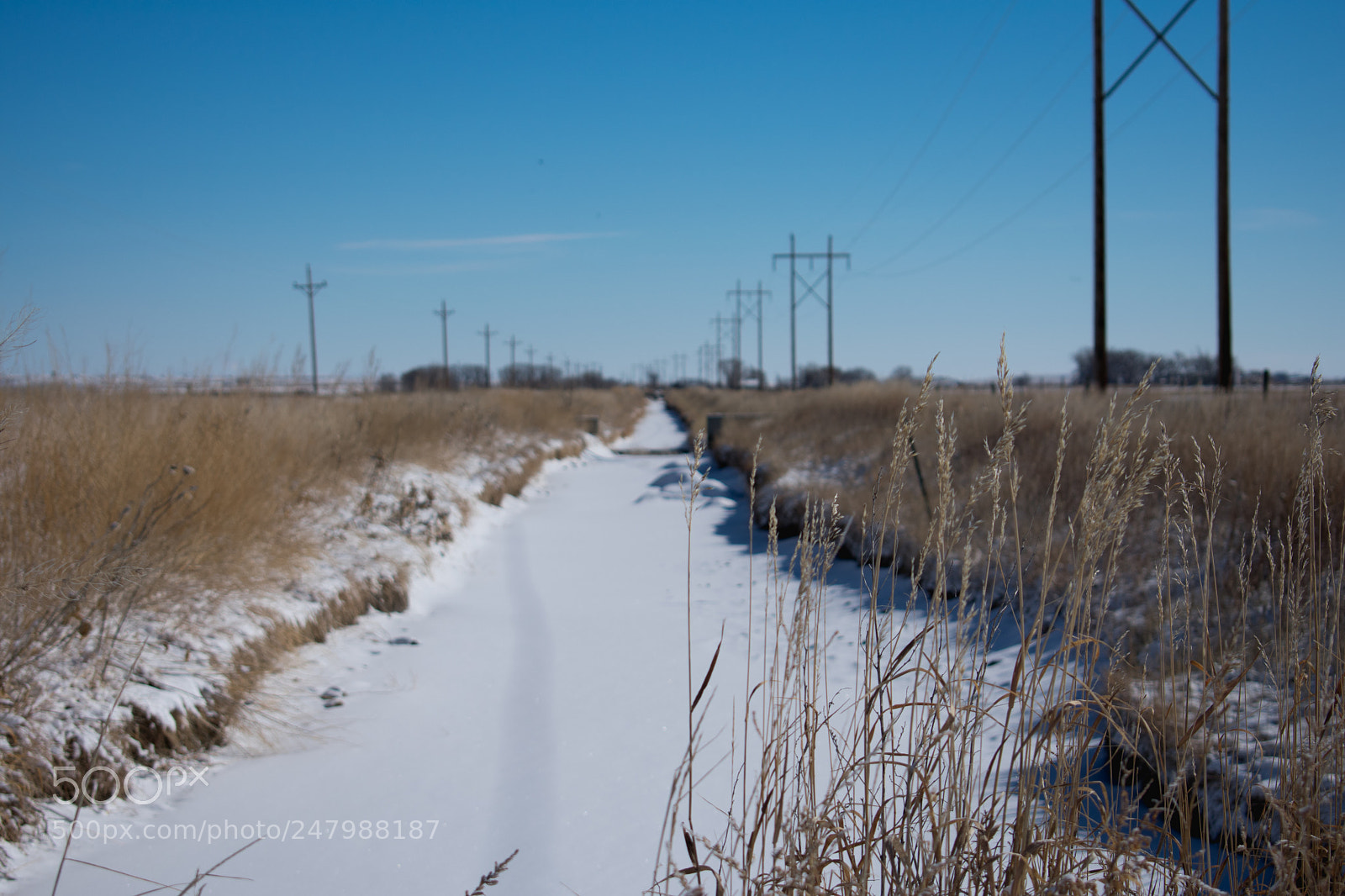 Nikon D3400 sample photo. The canal photography