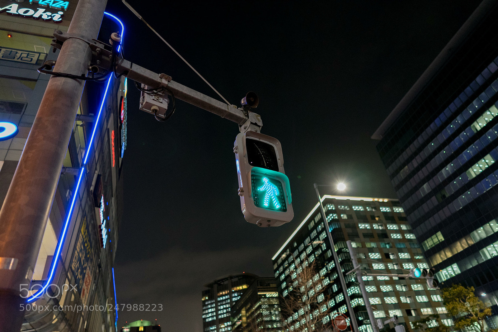 Sony a7 II sample photo. Tokyo photography