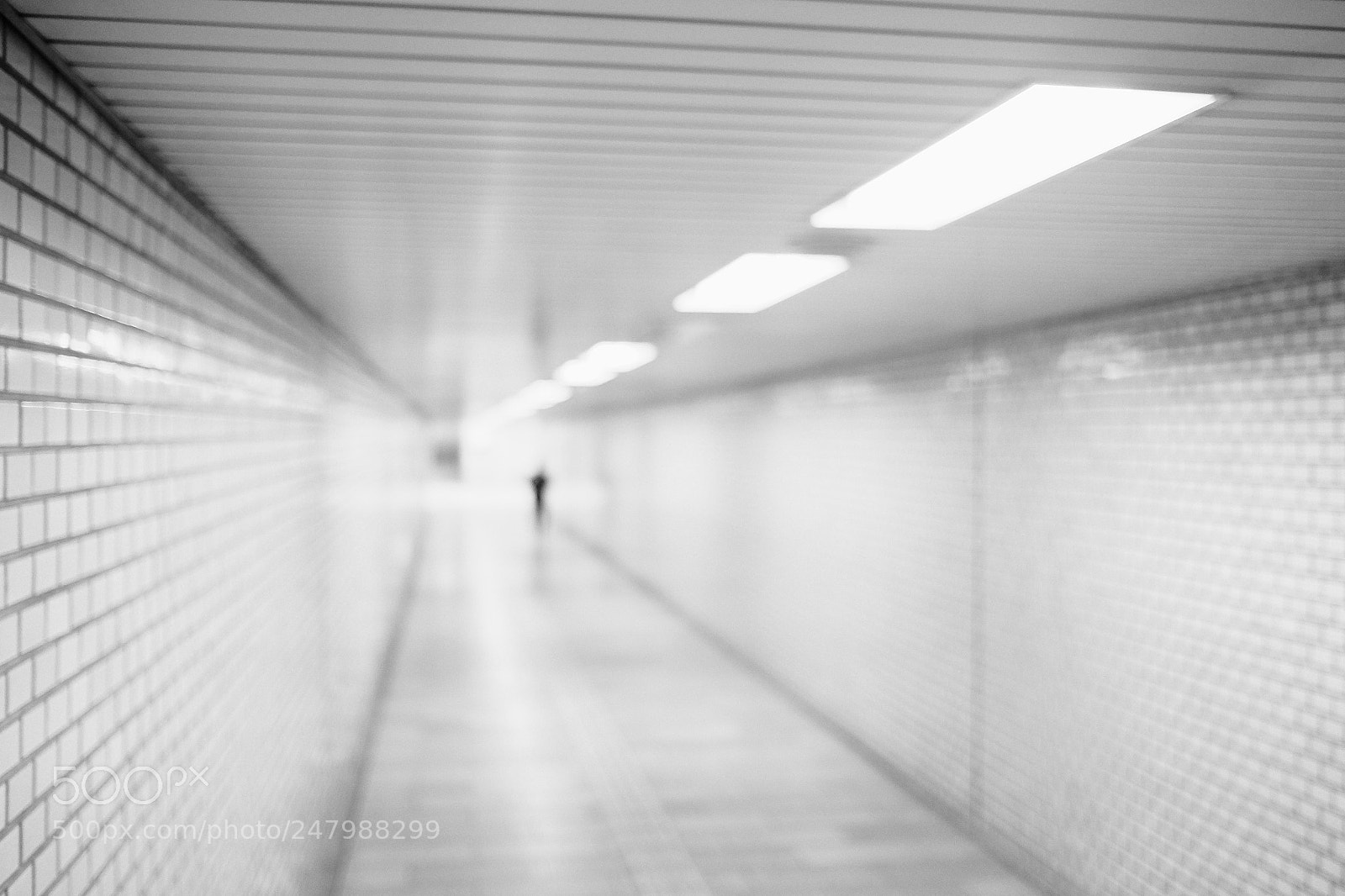 Fujifilm X-T1 sample photo. Untitled photography