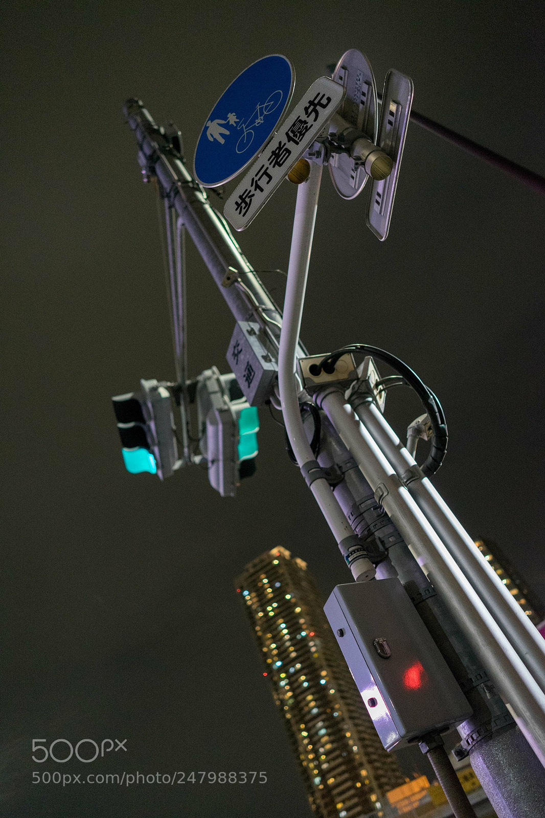 Sony a7 II sample photo. Untitled photography