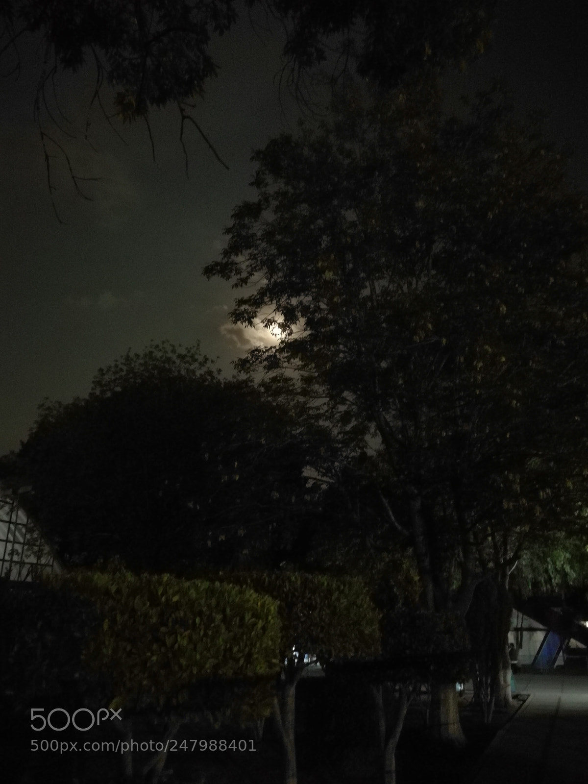HUAWEI Mate 9 sample photo. Untitled photography