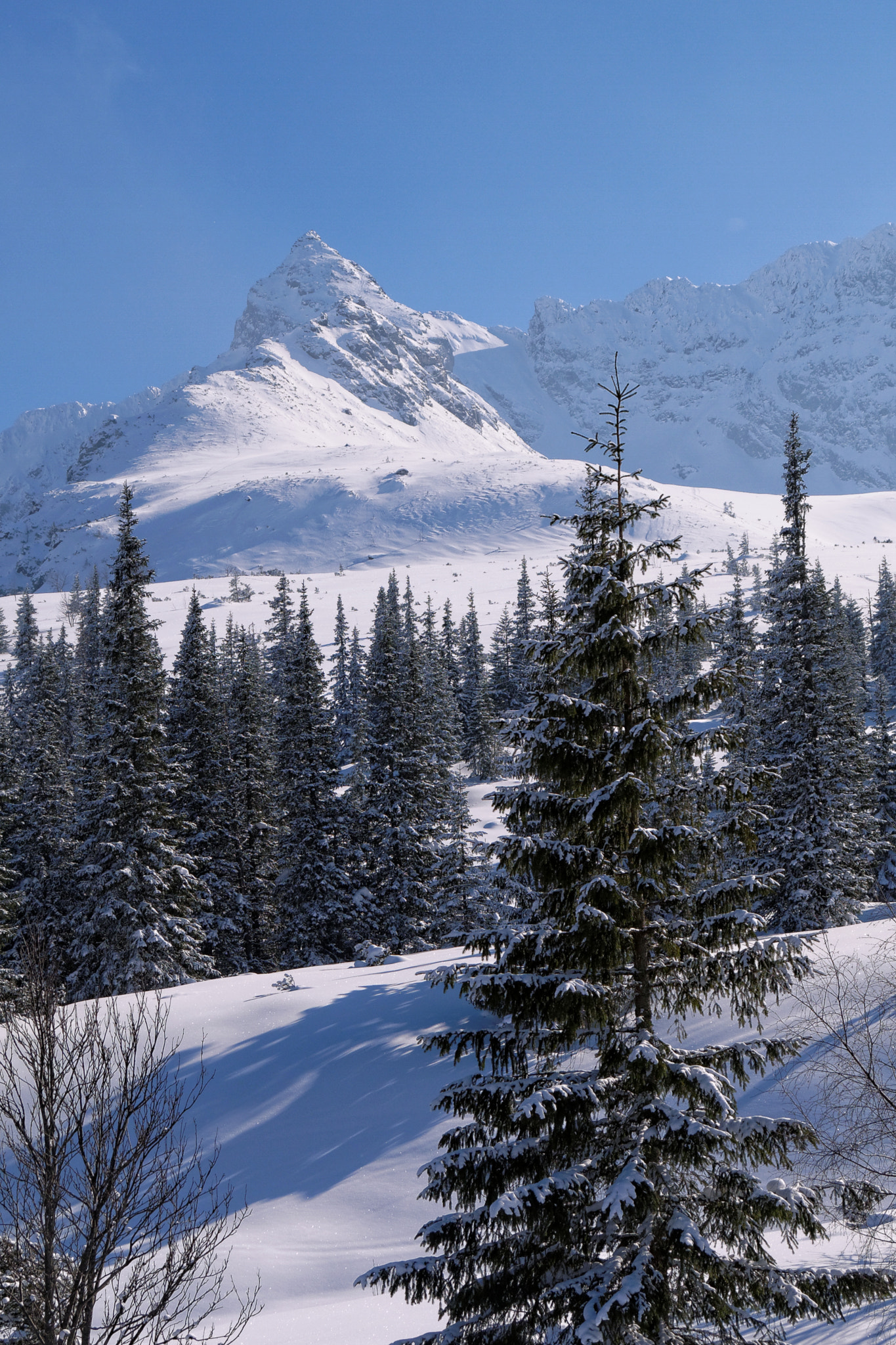 Panasonic Lumix DMC-GF5 sample photo. Tatra mountains photography