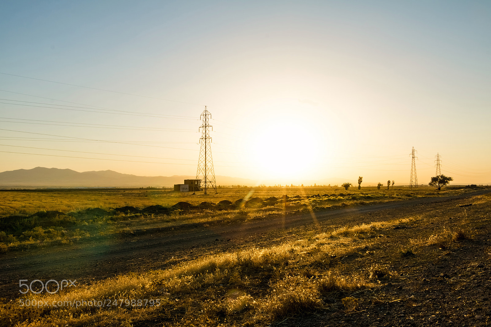 Canon EOS 760D (EOS Rebel T6s / EOS 8000D) sample photo. Yellow sunset photography