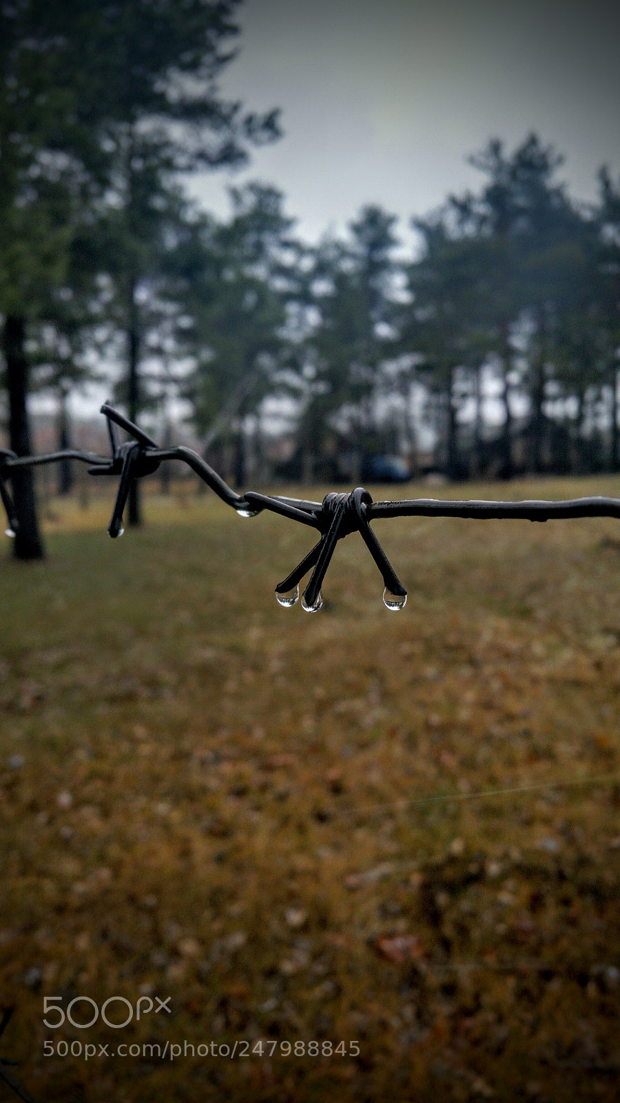 Samsung Galaxy S5 sample photo. Не входить... photography