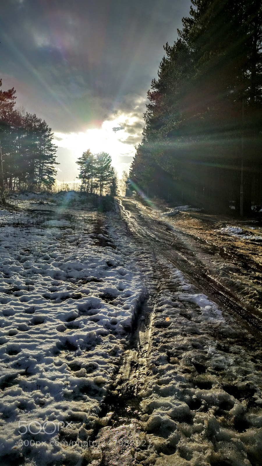 Samsung Galaxy S5 sample photo. Весна идет photography