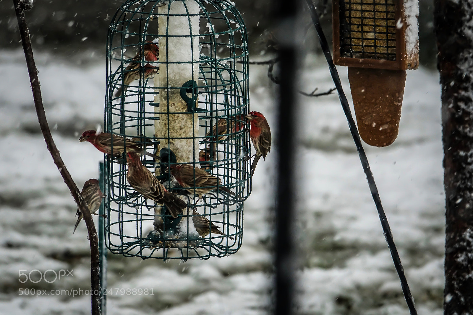 Sony Cyber-shot DSC-RX10 III sample photo. A popular hangout photography