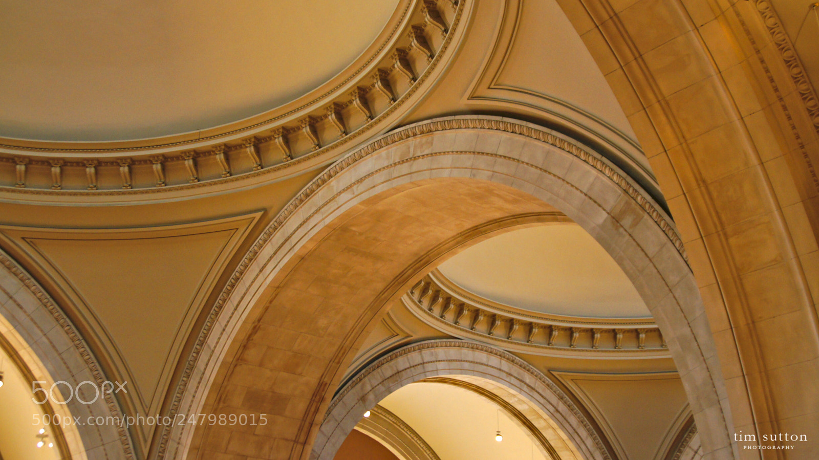 Sony SLT-A55 (SLT-A55V) sample photo. Ceiling of the met photography