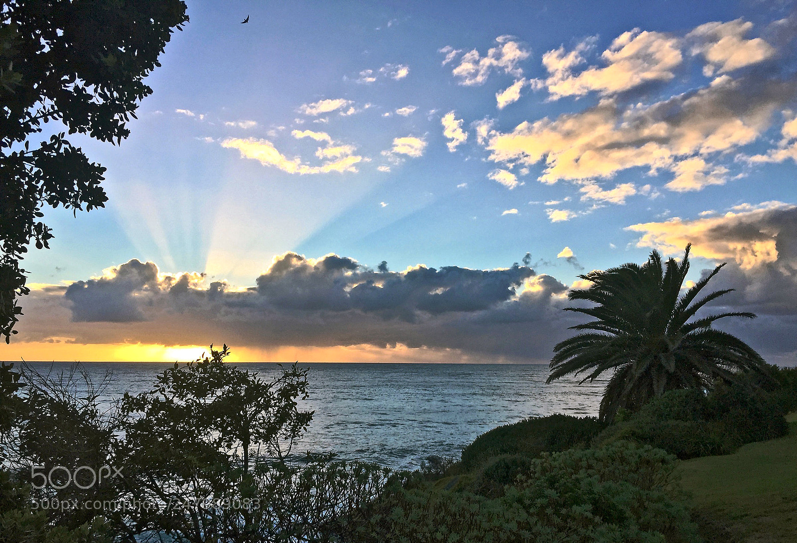 Apple iPhone 6 Plus sample photo. Cronulla morning photography