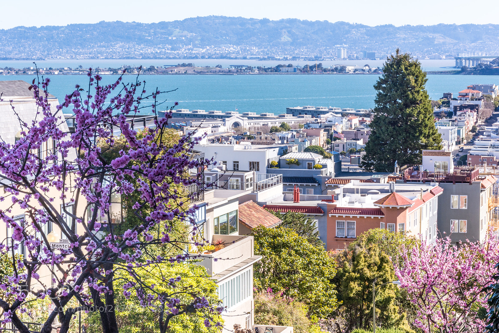 Nikon D5200 sample photo. Bay area, san francisco photography