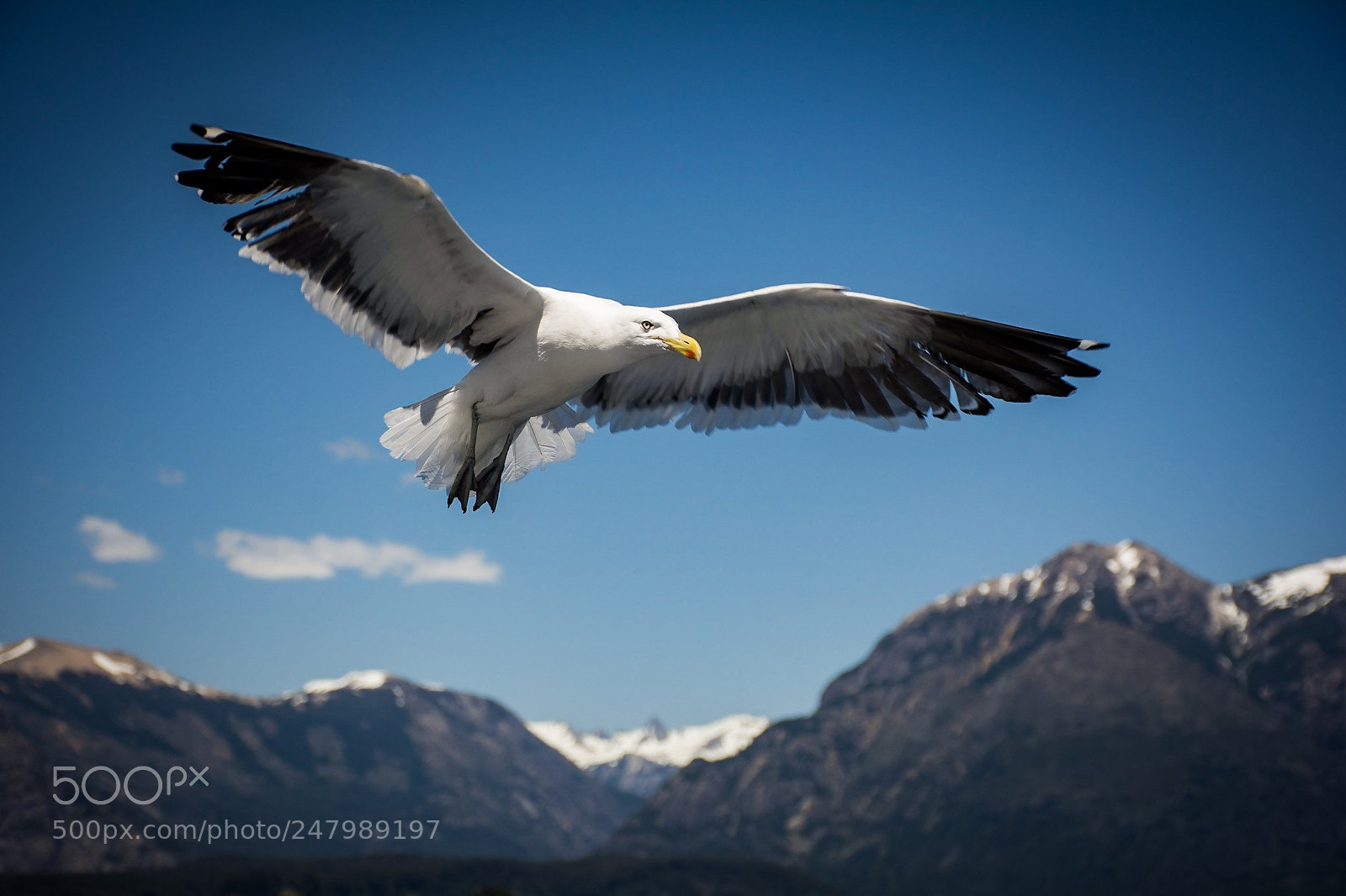 Nikon D7100 sample photo. Vuelo photography