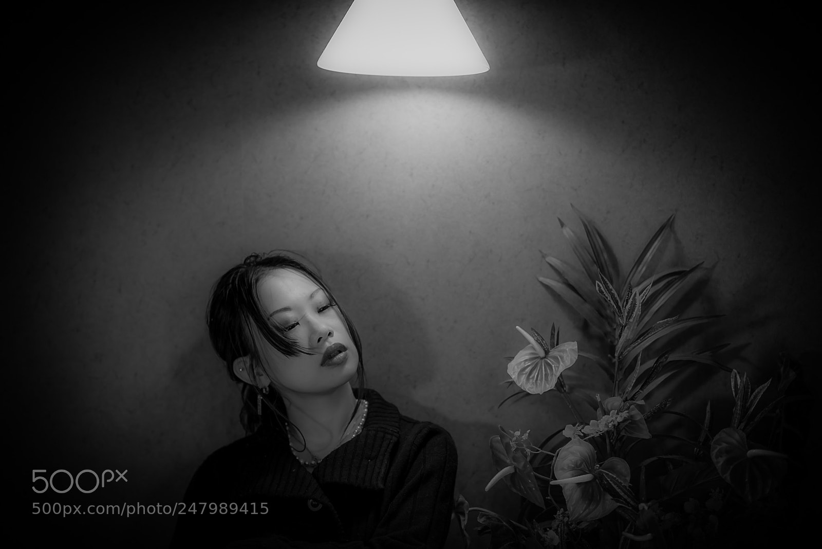 Nikon D810 sample photo. Lip-78 photography