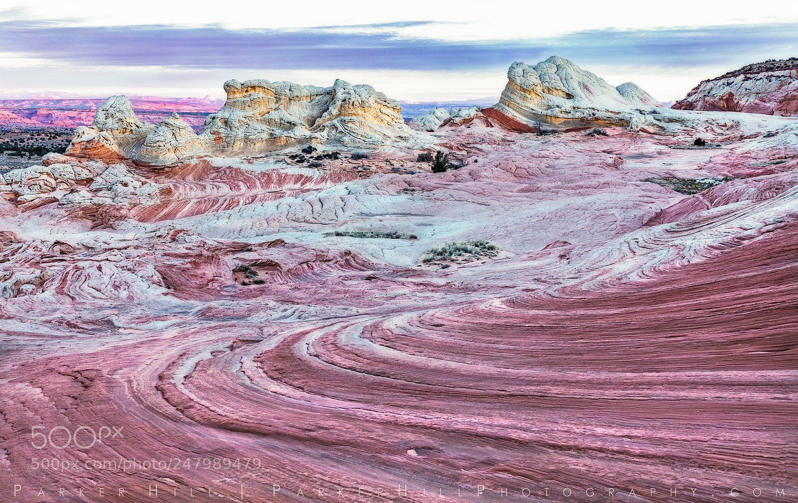 Canon EOS 5DS R sample photo. Candy land at white photography