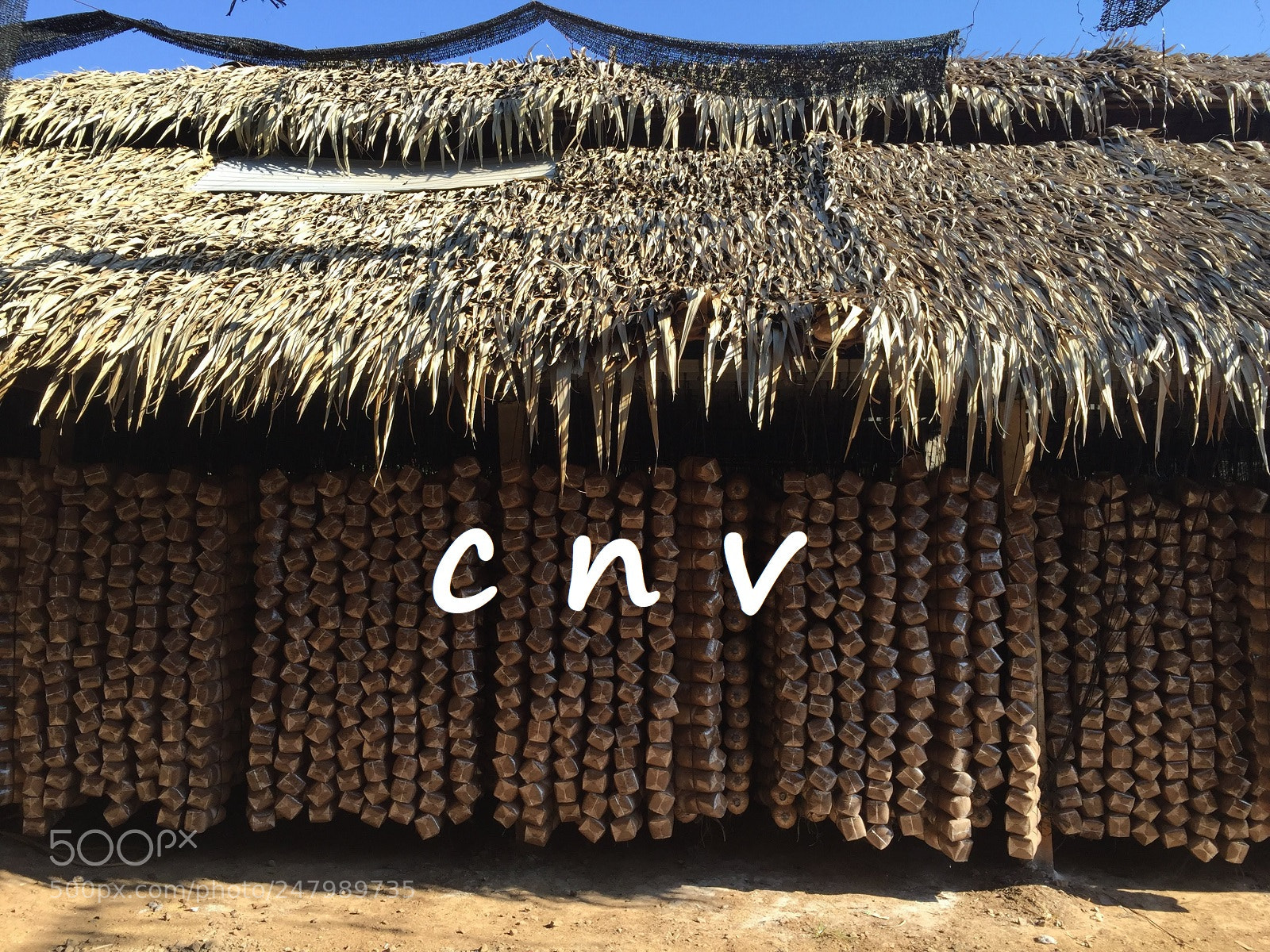 Apple iPhone 6 sample photo. This is the image photography