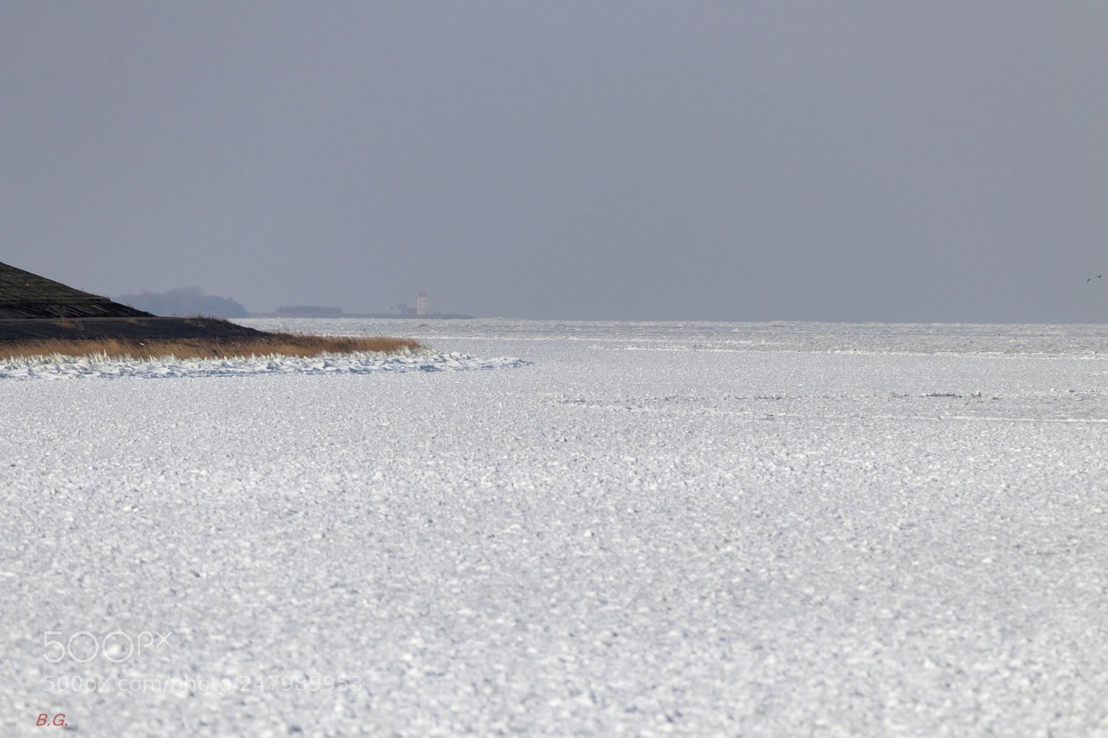 Canon EOS 80D sample photo. Ijselmeer photography