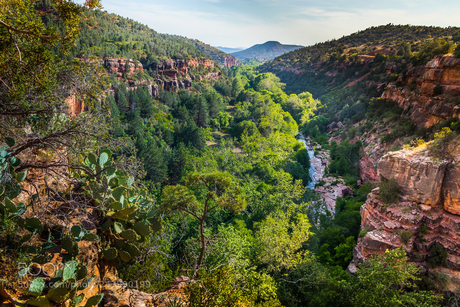 Canon EOS 80D sample photo. Oak creek ecology photography