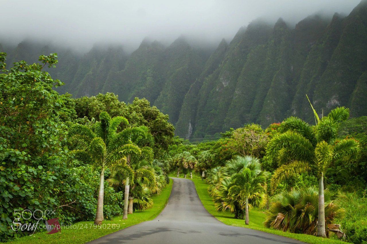Canon EOS 7D sample photo. Road to heaven photography