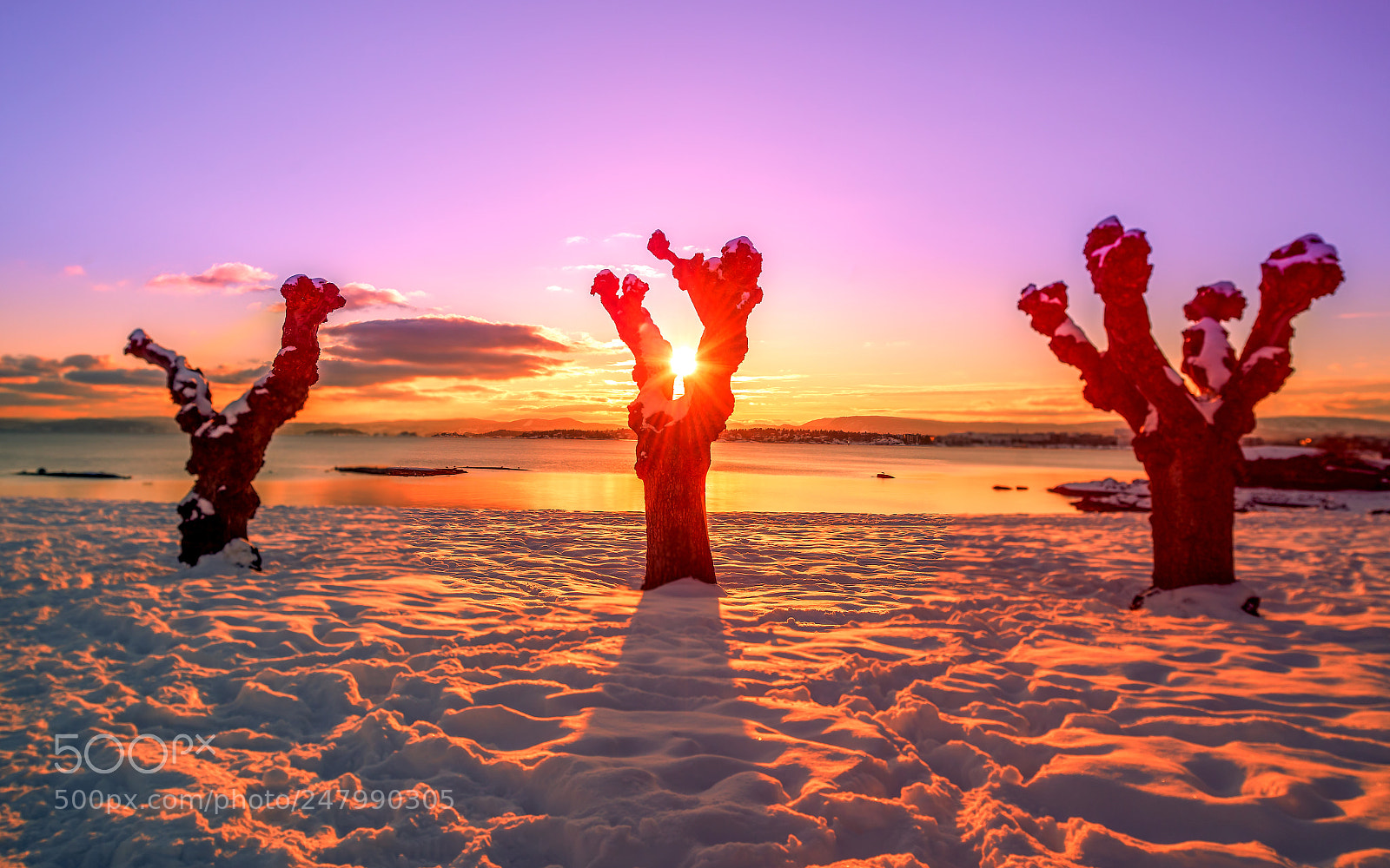 Nikon D800 sample photo. Sunset! photography