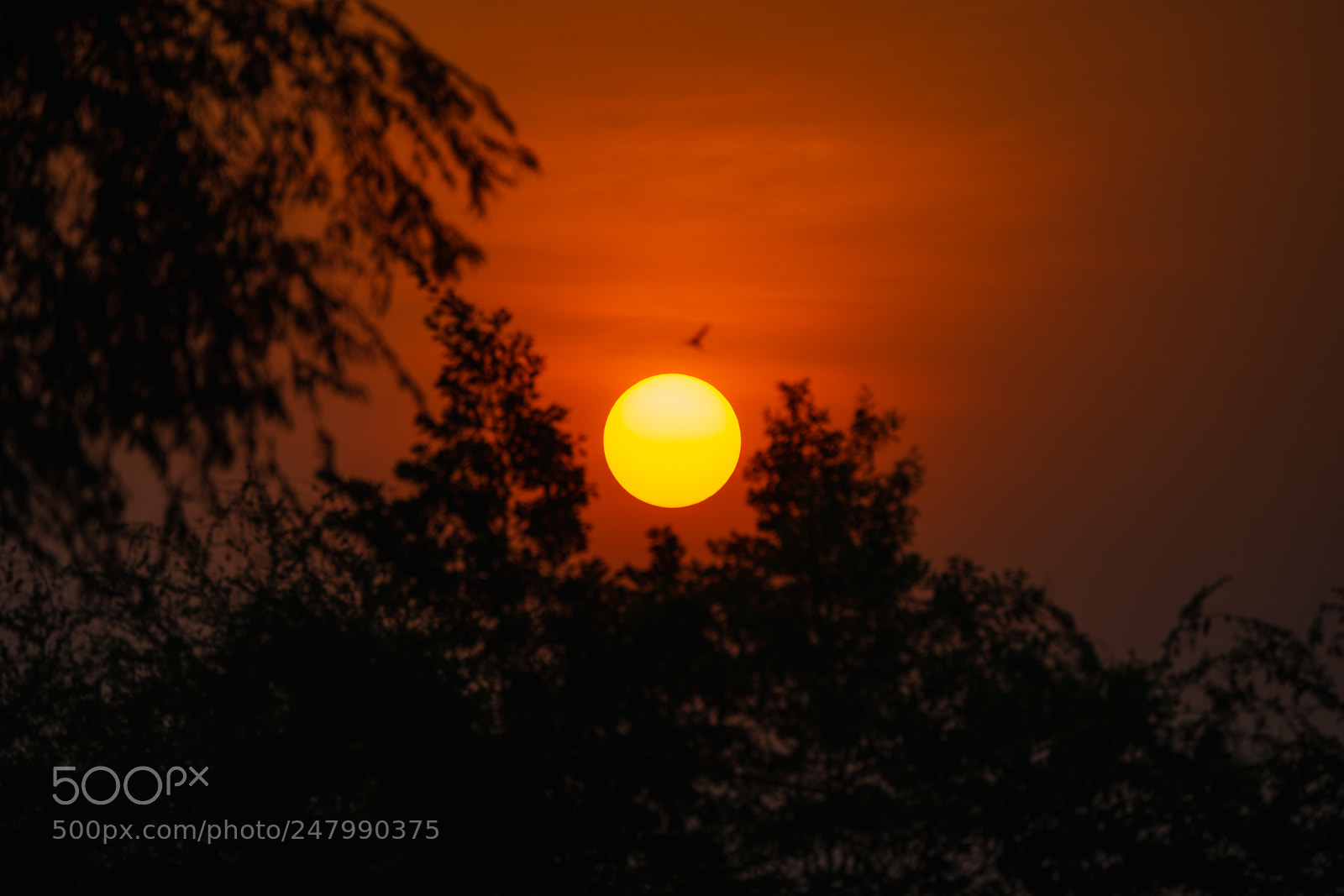 Sony a7 II sample photo. One sunset photography