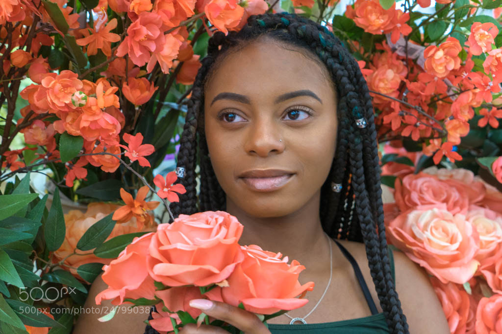 Sony a7 II sample photo. Edit photography