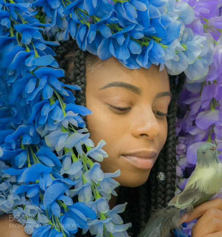 Sony a7 II sample photo. Edit photography